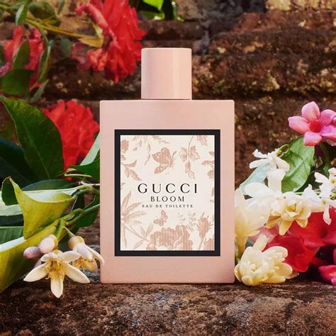 gucci bloom 7095|gucci bloom perfume smell.